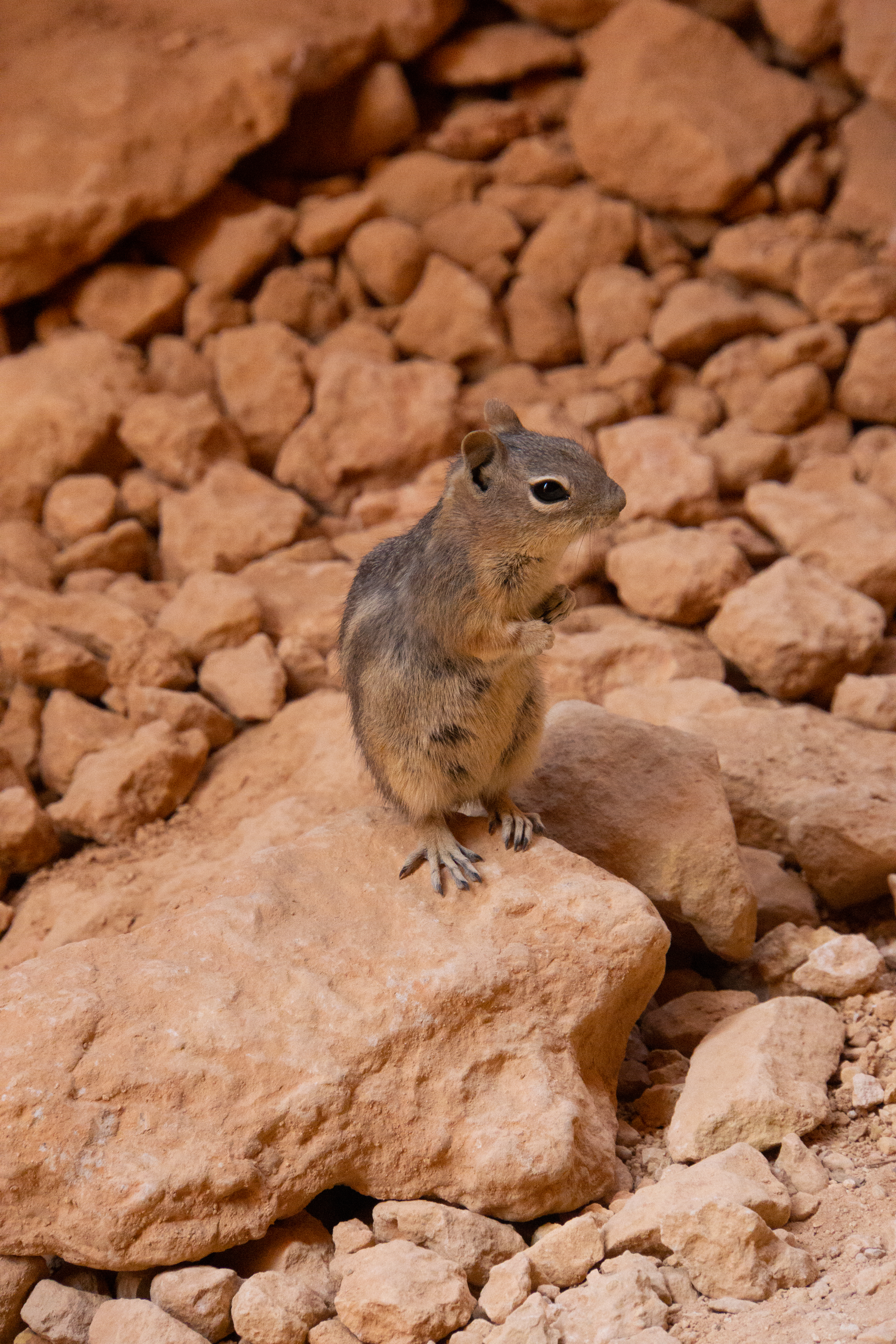 US National Parks 2022 19